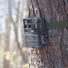 Load image into Gallery viewer, Lumen (New Edition)