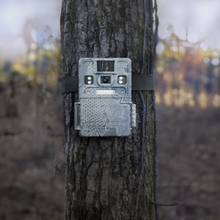 Load image into Gallery viewer, Lumen (New Edition)