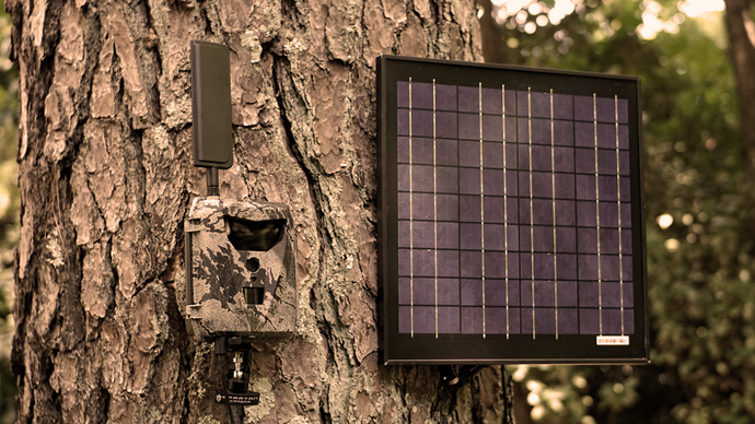 What Do You Need To Know About Solar Panels And Trail Cameras?