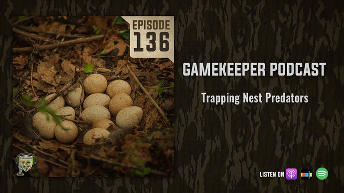 Countdown to Turkey Season: Stopping Nest Predators in their tracks