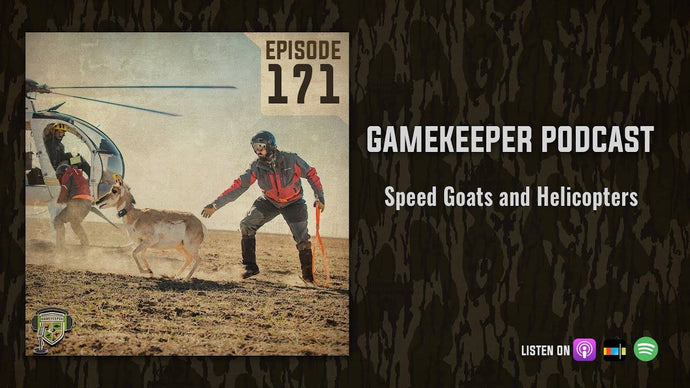 Helicopter Wranglers: How to catch a Pronghorn with the GameKeepers