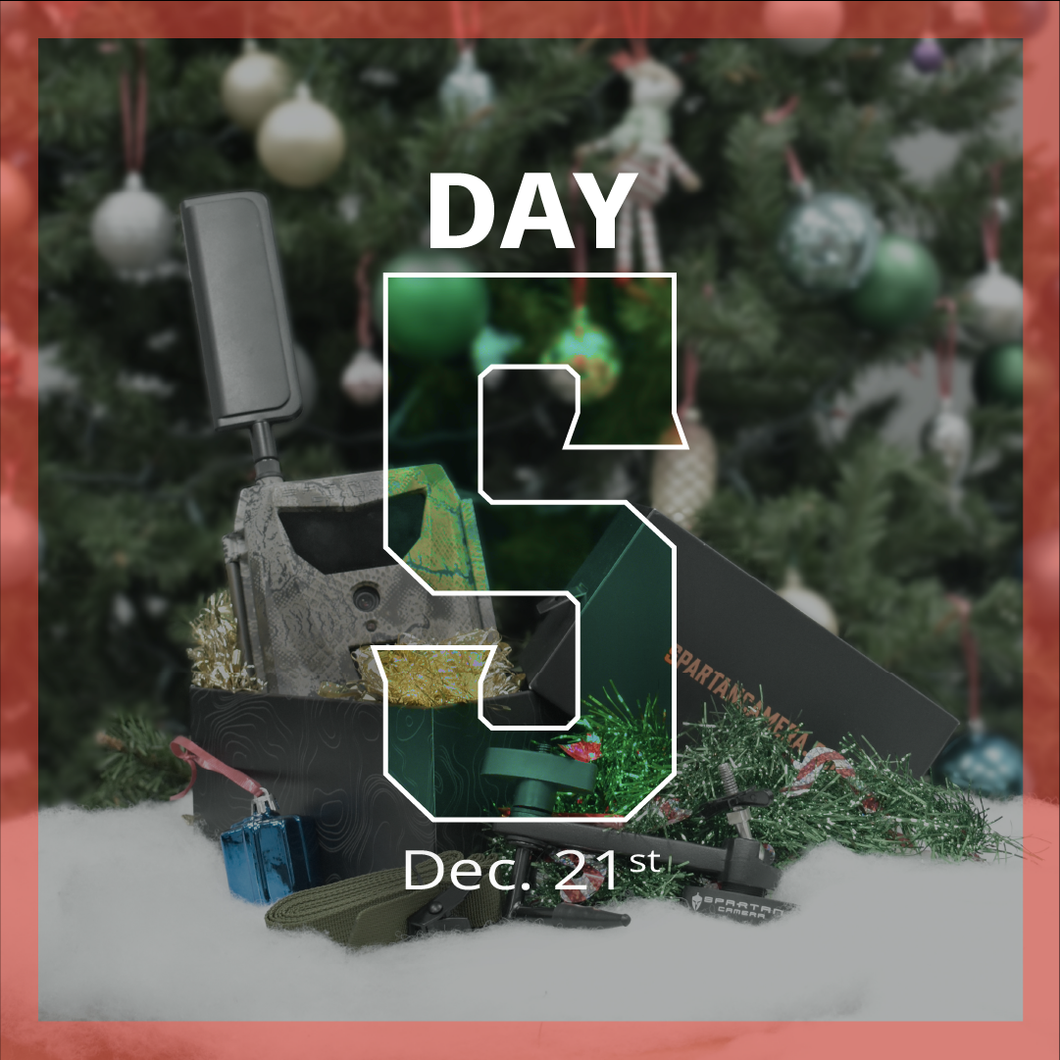 GoLive + Quick-Aim Mount + Mounting Strap [Holiday Bundle DAY 5]