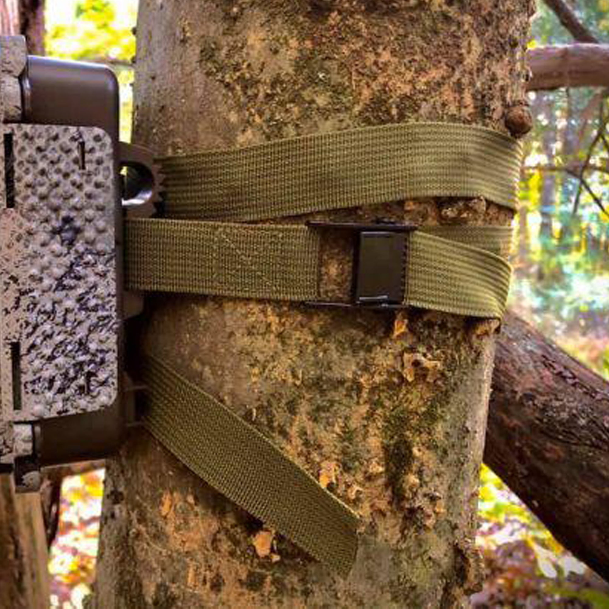The Cam Quick Easystrap-3 Pack Game Camera Holder Cam Quick Camera ...